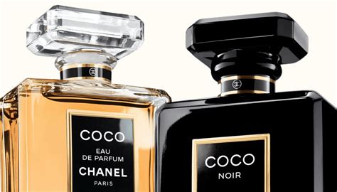 coco noir chanel perfume fragrantica|what does coco chanel perfume smell like.